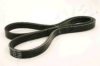 ASHIKA 112-4PK1000 V-Ribbed Belts